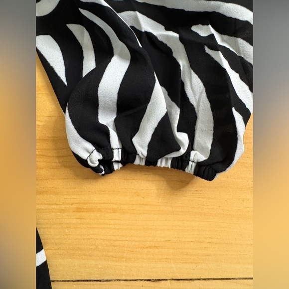 NWT Steve Madden Nicole Zebra Print Festival Gorpcore Goth Summer Mini Dress - Picture 8 of 11